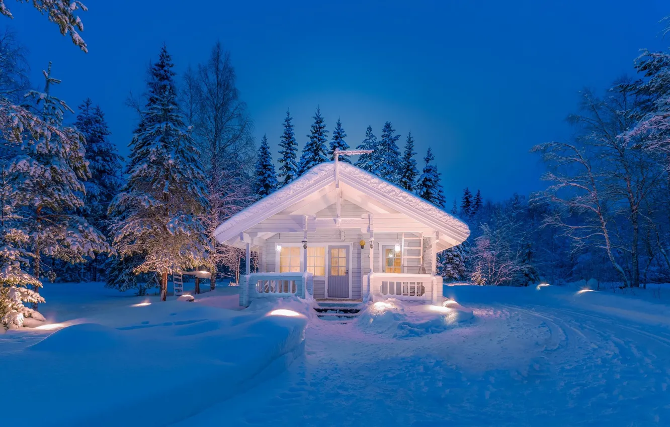Photo wallpaper winter, forest, white, snow, night, lights, home, forest