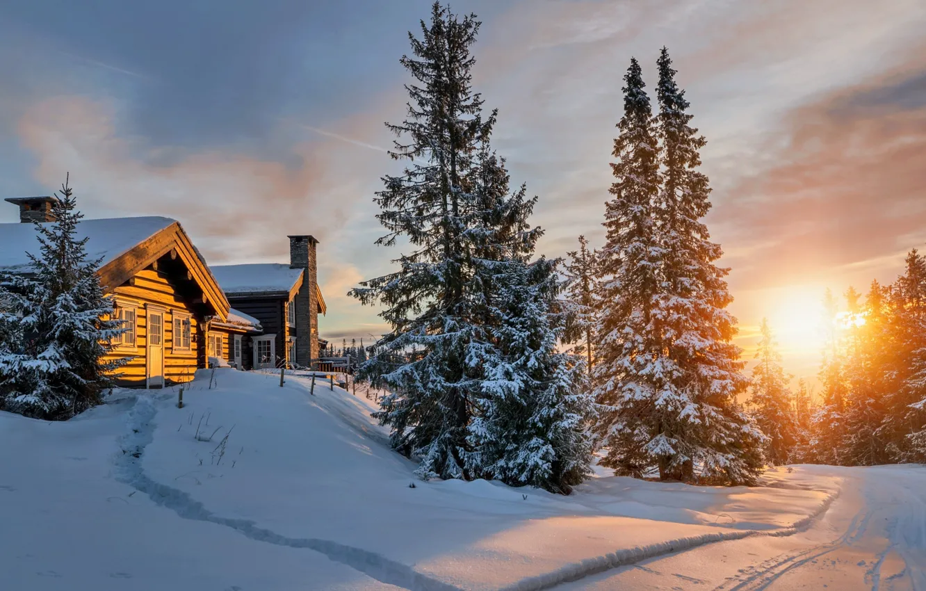 Photo wallpaper cold, winter, forest, the sun, light, snow, houses, North