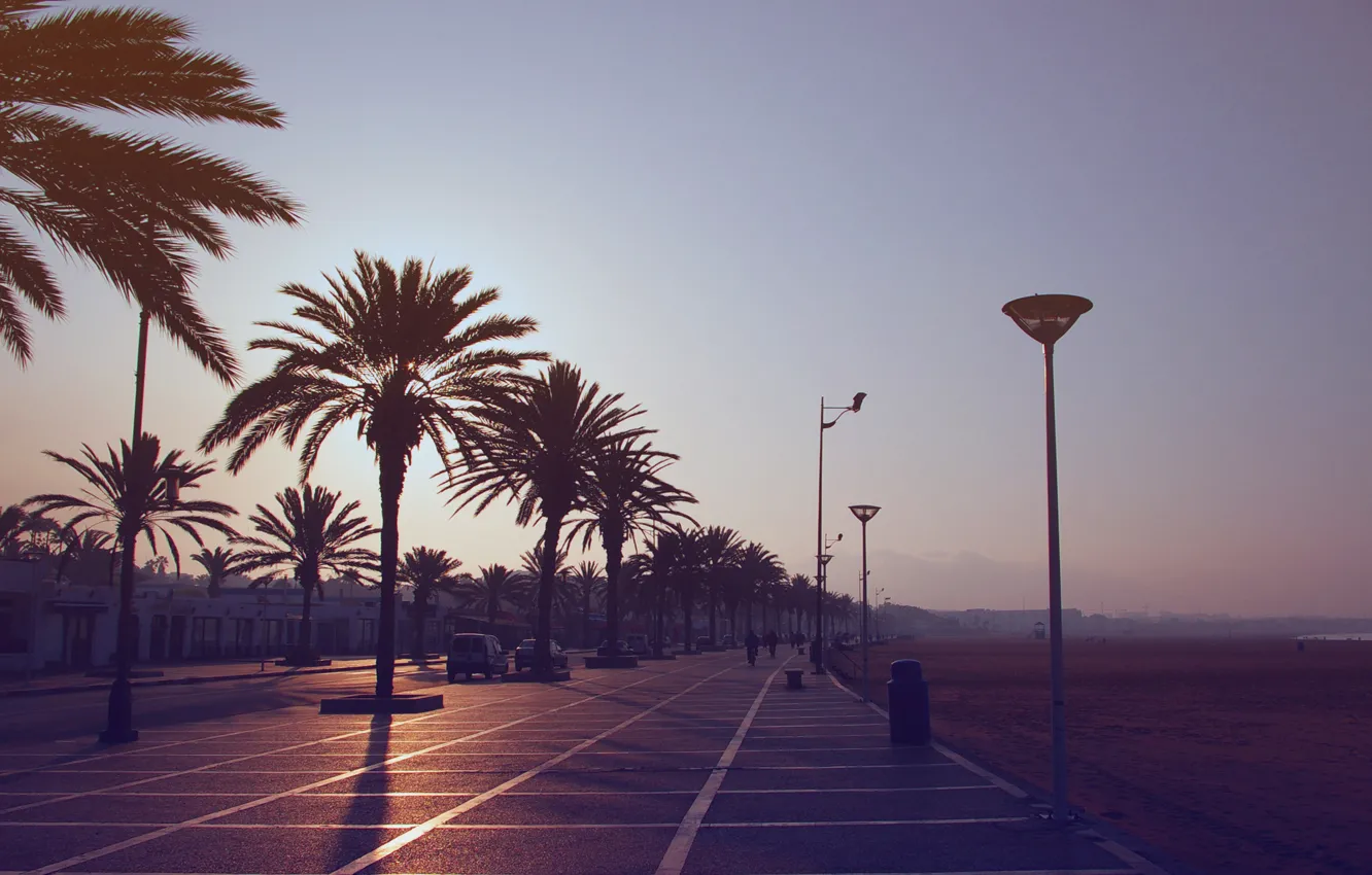 Photo wallpaper sunset, night, palm trees