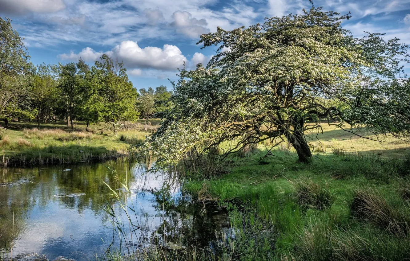 Photo wallpaper the sky, landscape, nature
