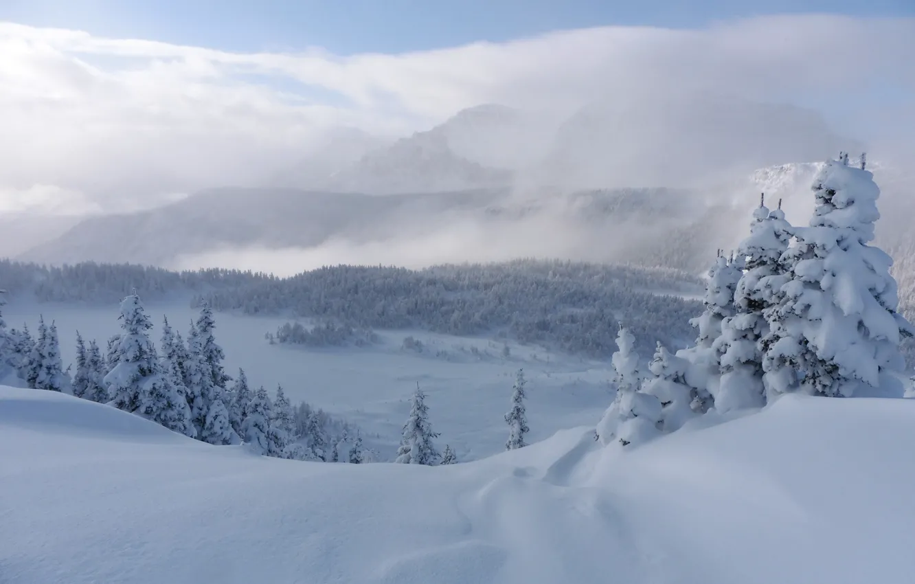 Photo wallpaper winter, snow, trees, mountains, ate, Canada, the snow, Albert