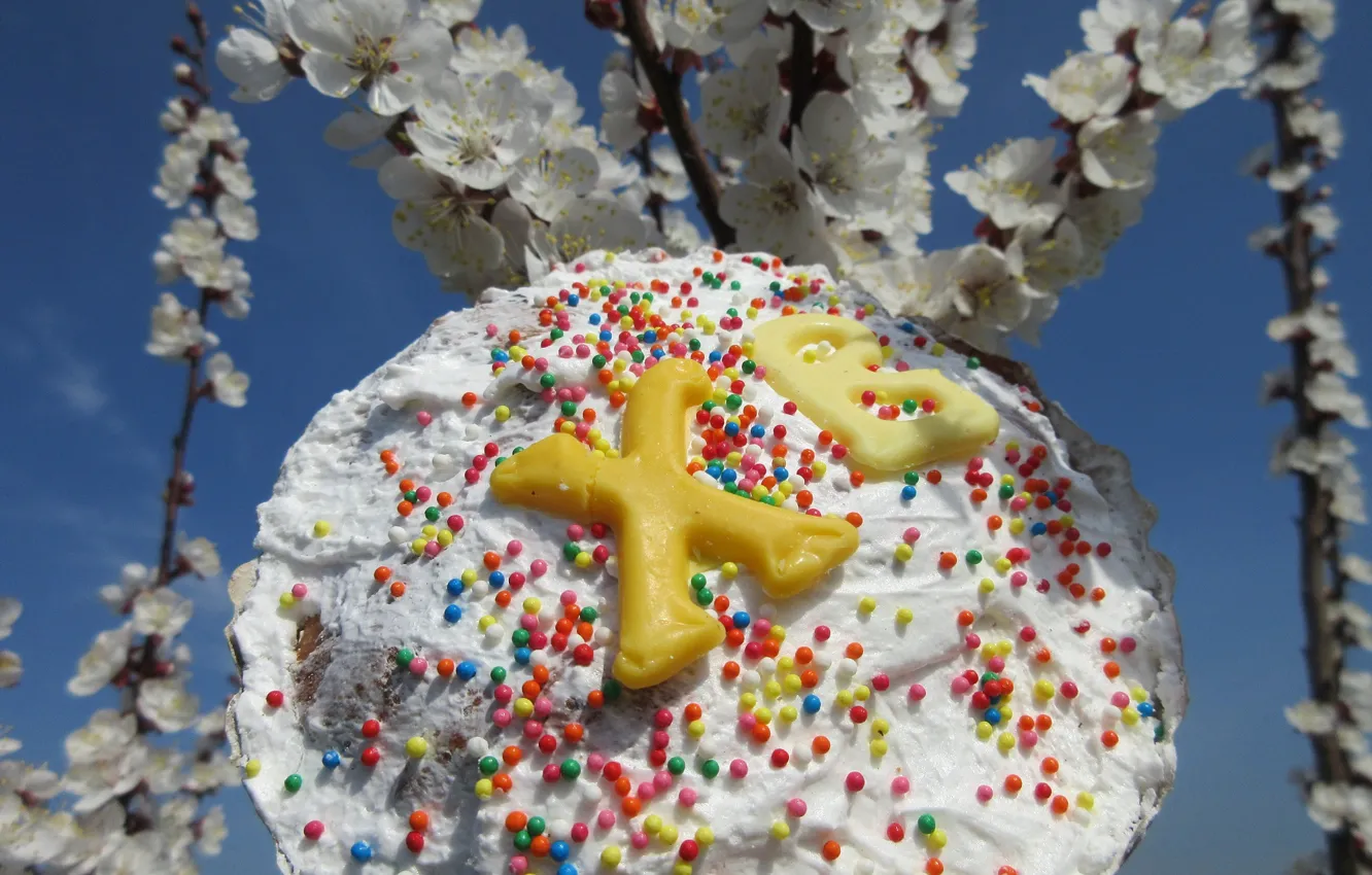 Photo wallpaper flowers, Easter, April, spring 2018