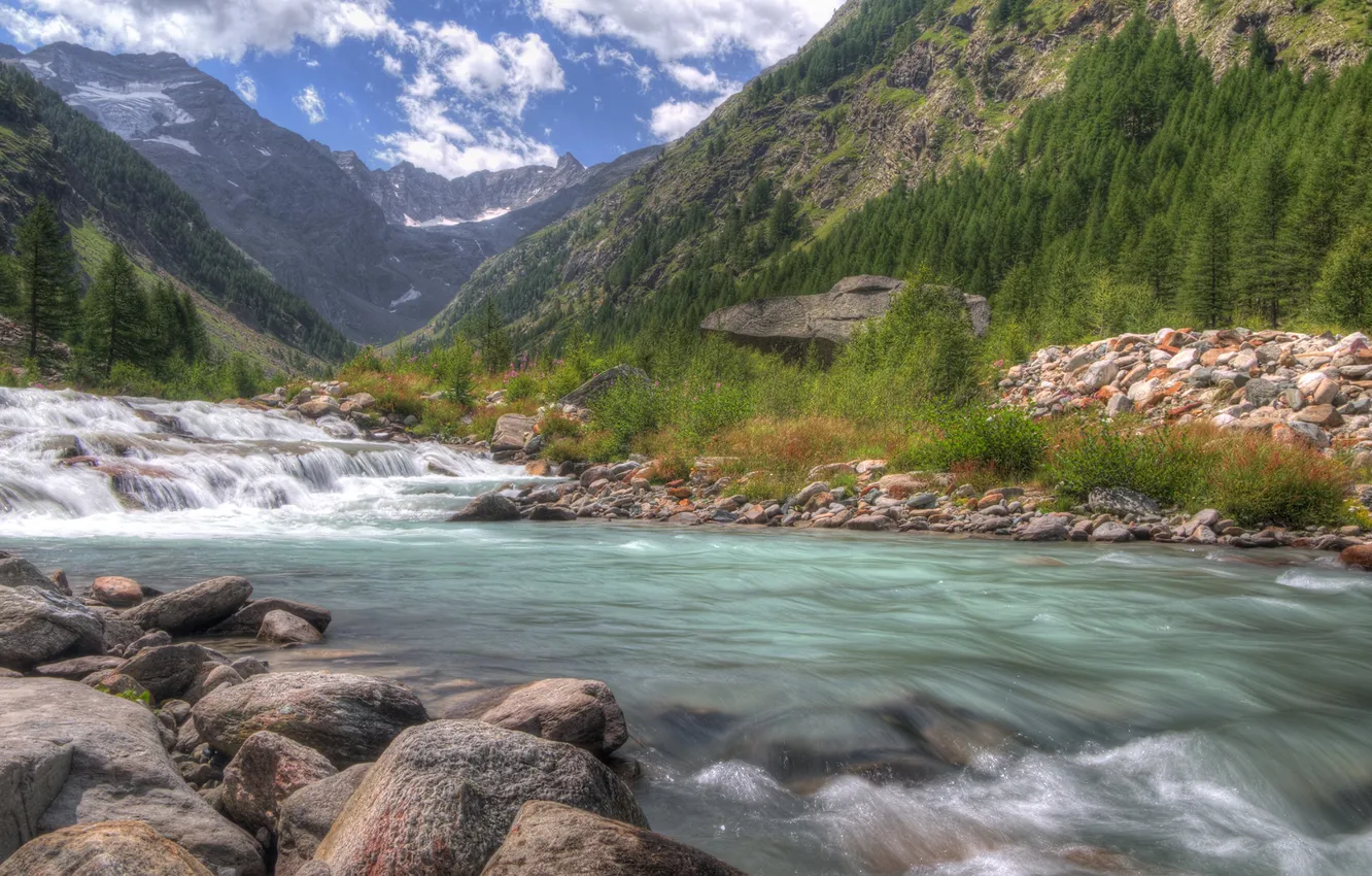 Photo wallpaper forest, the sky, clouds, landscape, mountains, nature, stones, plant