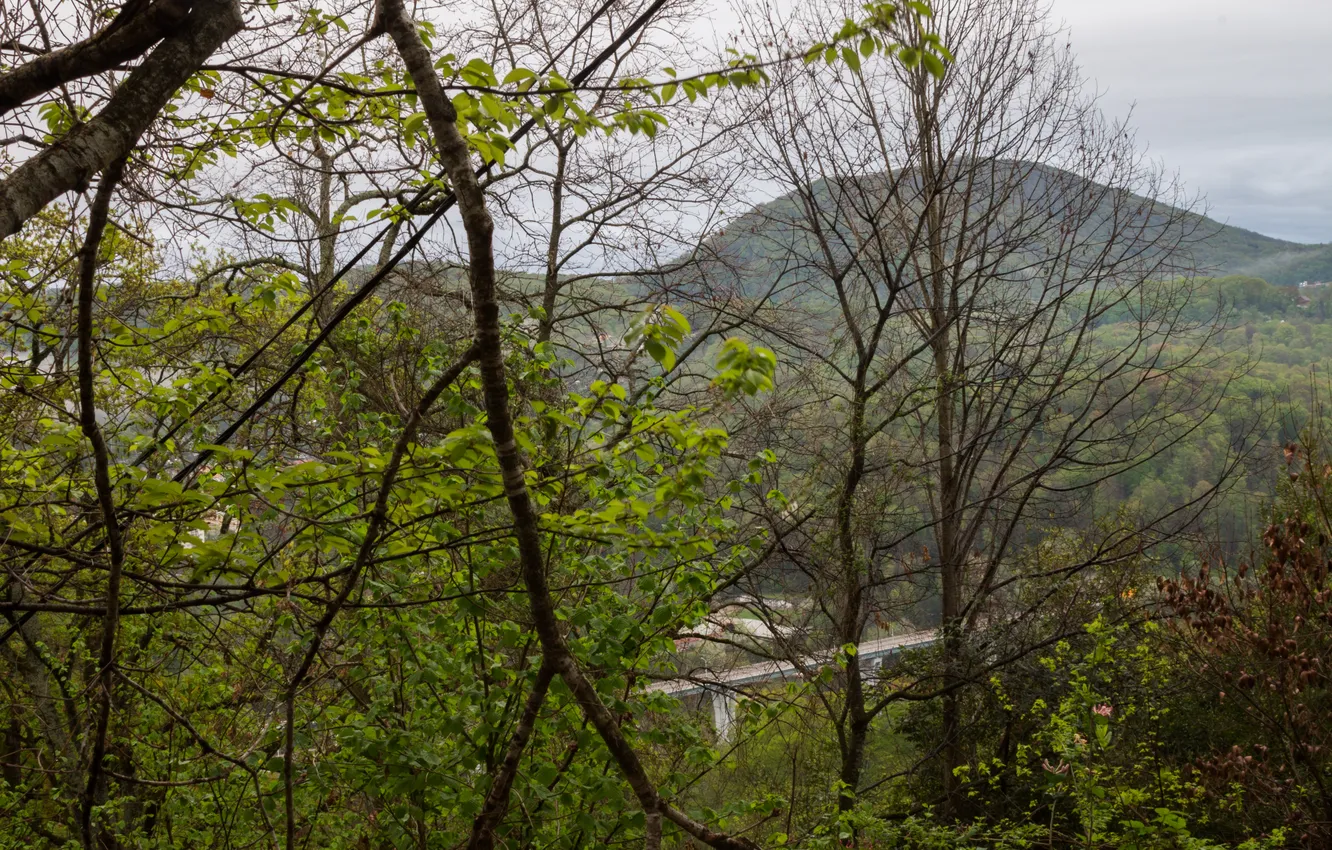 Photo wallpaper trees, mountains, clouds, nature, overcast, overpass, Russia, Stan