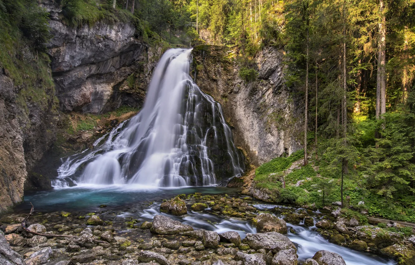Photo wallpaper forest, waterfall, stream
