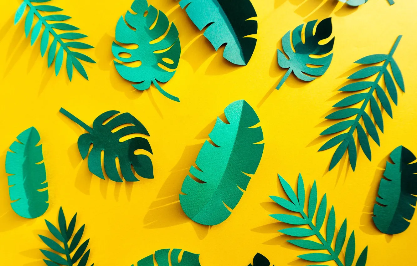 Photo wallpaper leaves, background, shadow