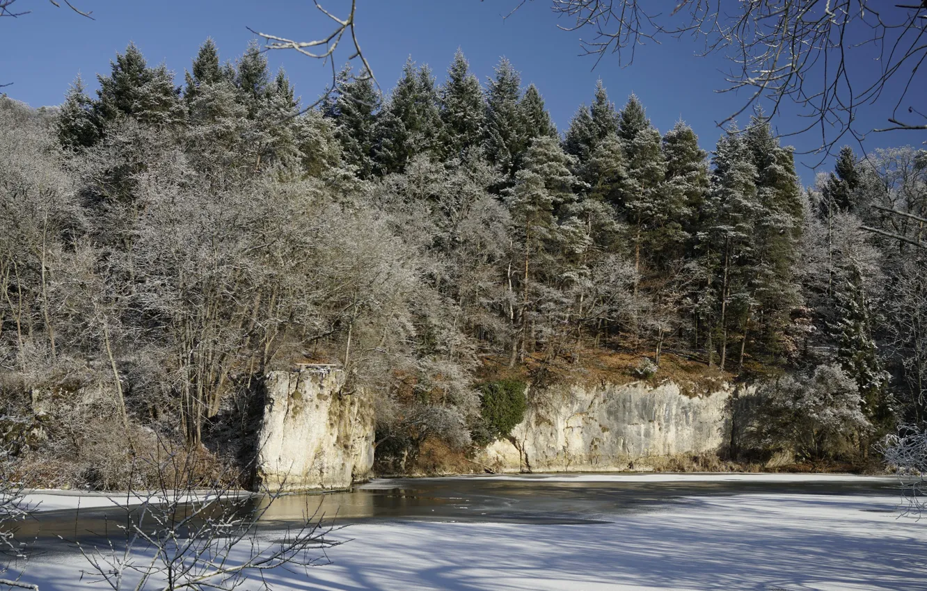 Photo wallpaper frost, forest, frost, the idea