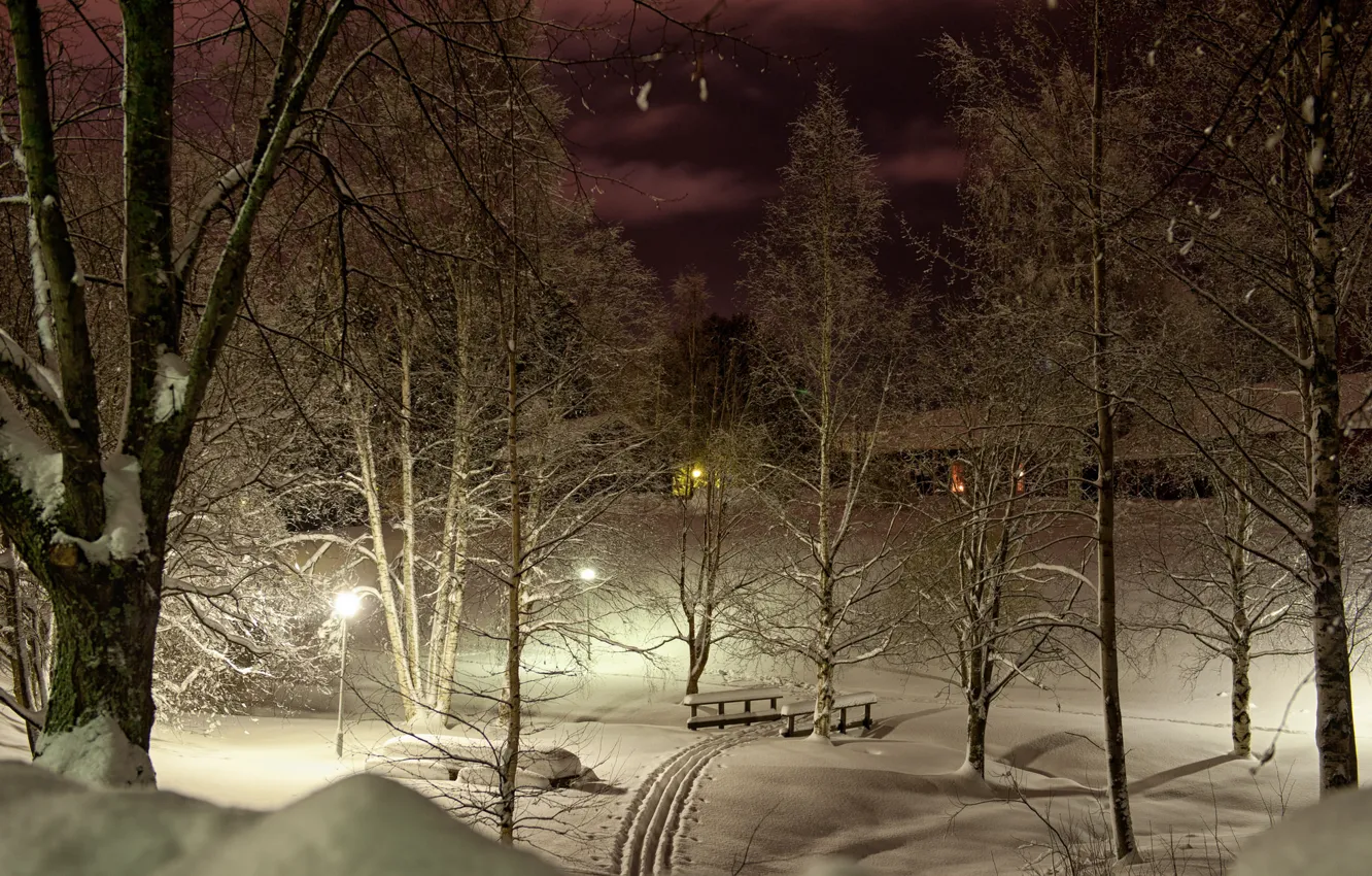 Photo wallpaper winter, light, snow, trees, night, lights, Park, trails