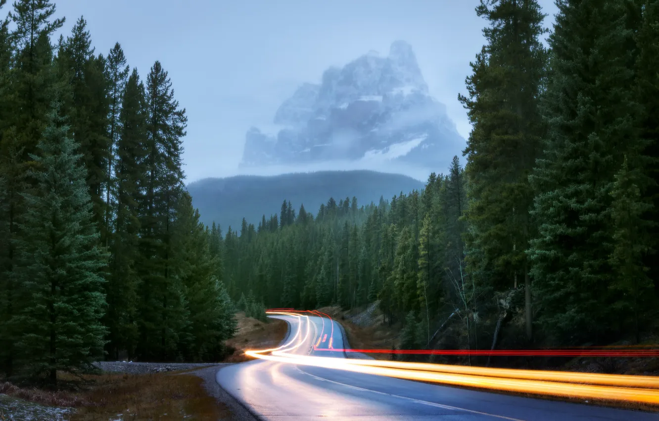 Photo wallpaper road, forest, light, mountains, nature, lights, fog, excerpt