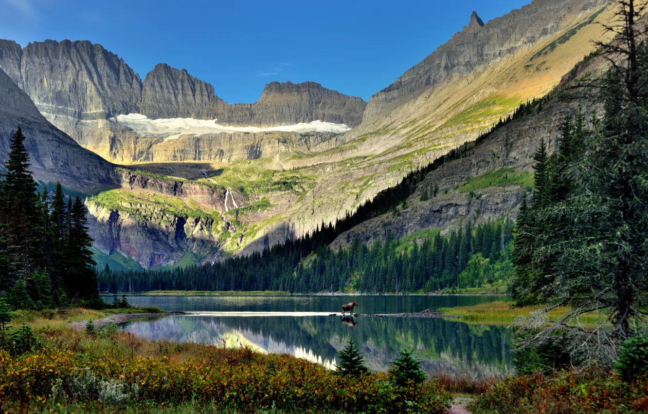 Photo wallpaper Nature, Mountains, Rocks, Lake, Forest, Landscape, Moose