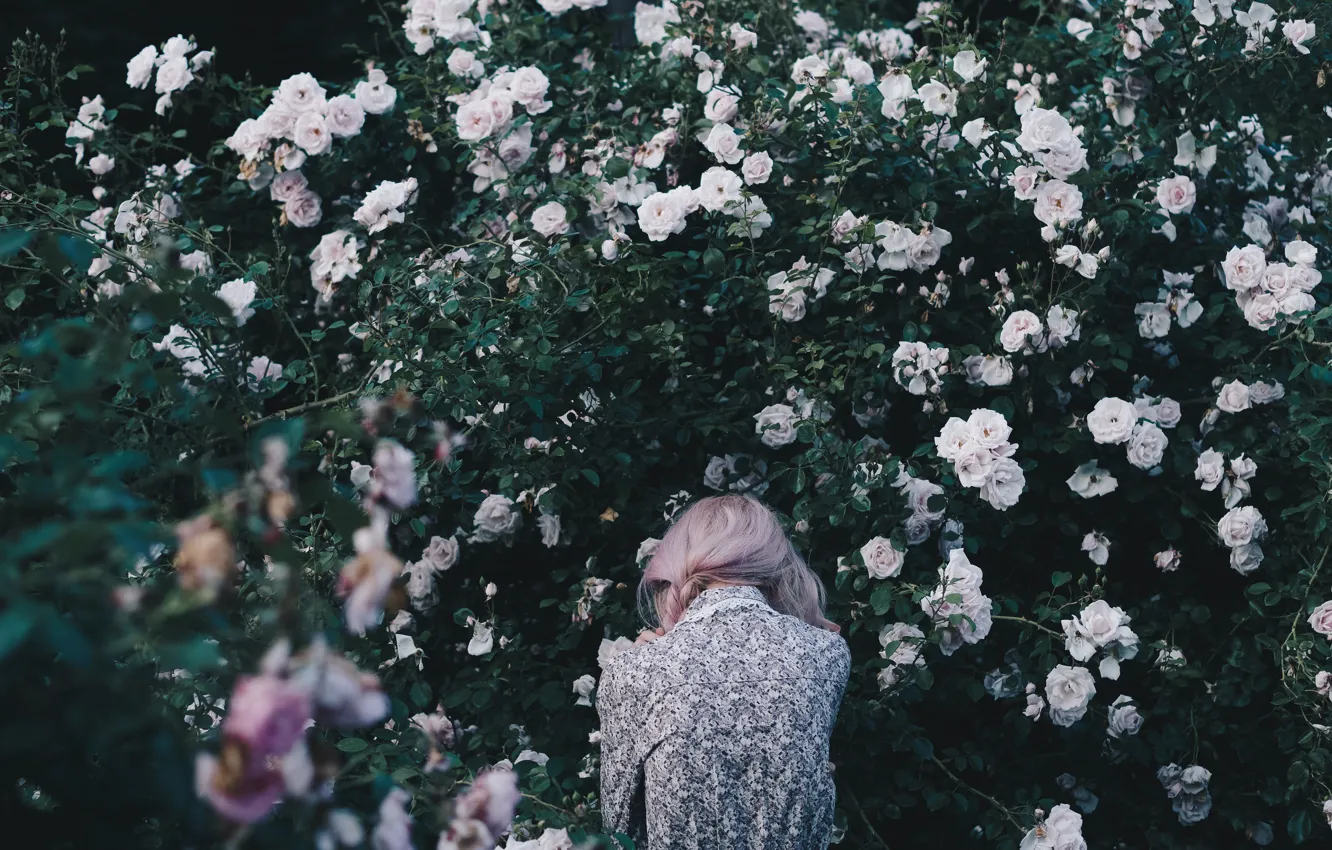 Photo wallpaper Girl, Girl, Roses, Roses