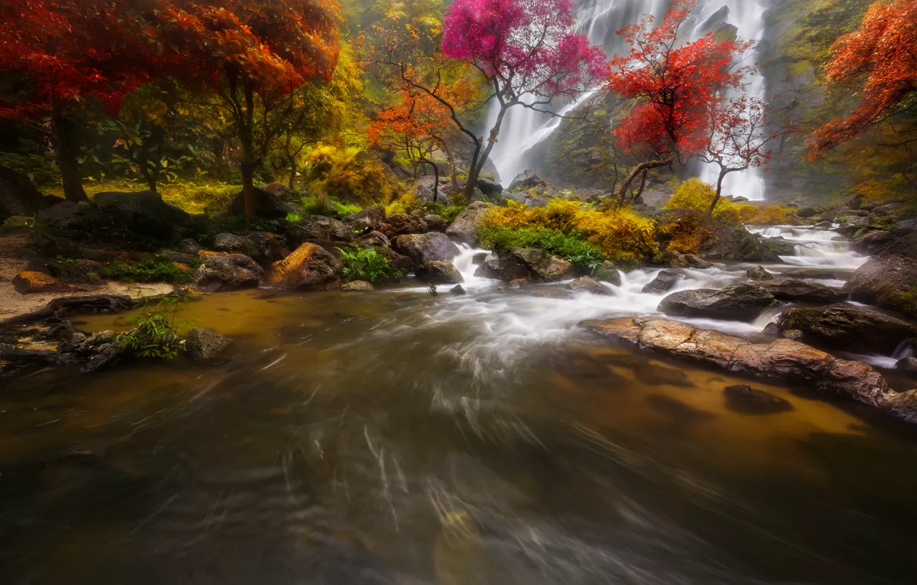 Photo wallpaper autumn, forest, trees, rock, river, stones, waterfall