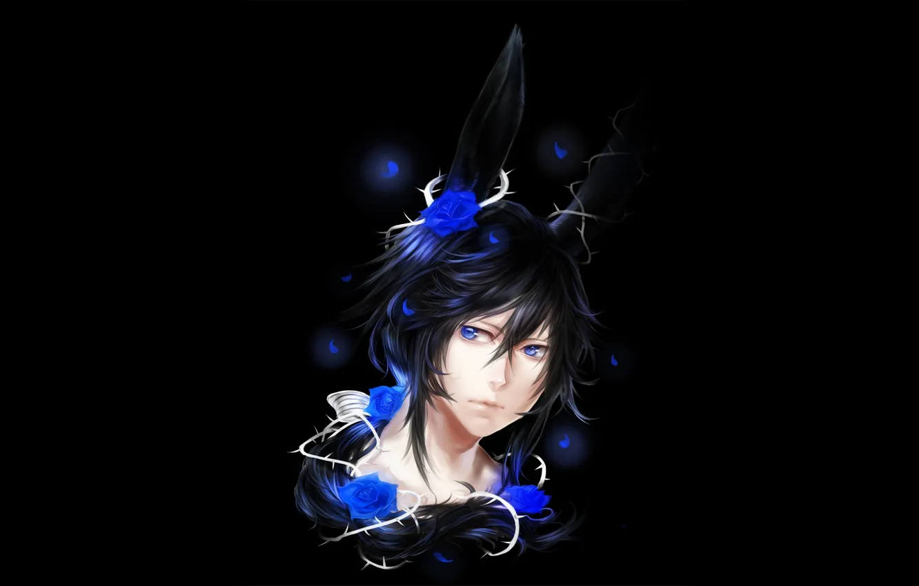 Photo wallpaper hare, tail, guy, black background, ears, blue roses, Personification