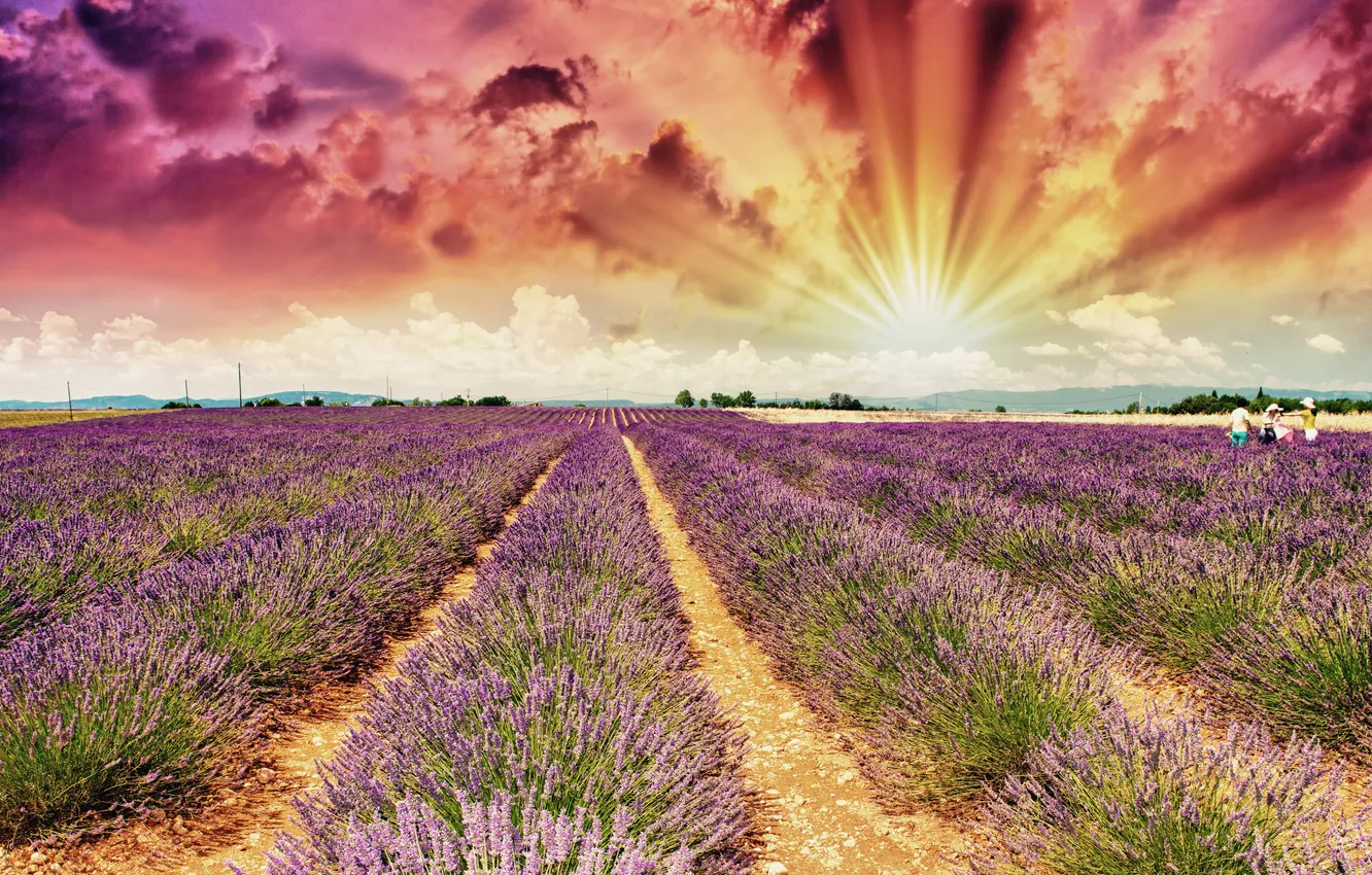 Photo wallpaper field, the sky, clouds, glow, the rays of the sun, lavender