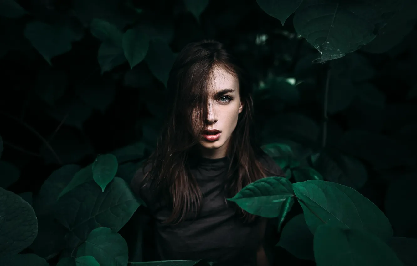 Photo wallpaper look, leaves, girl, green, portrait, shadow, brunette, hairstyle