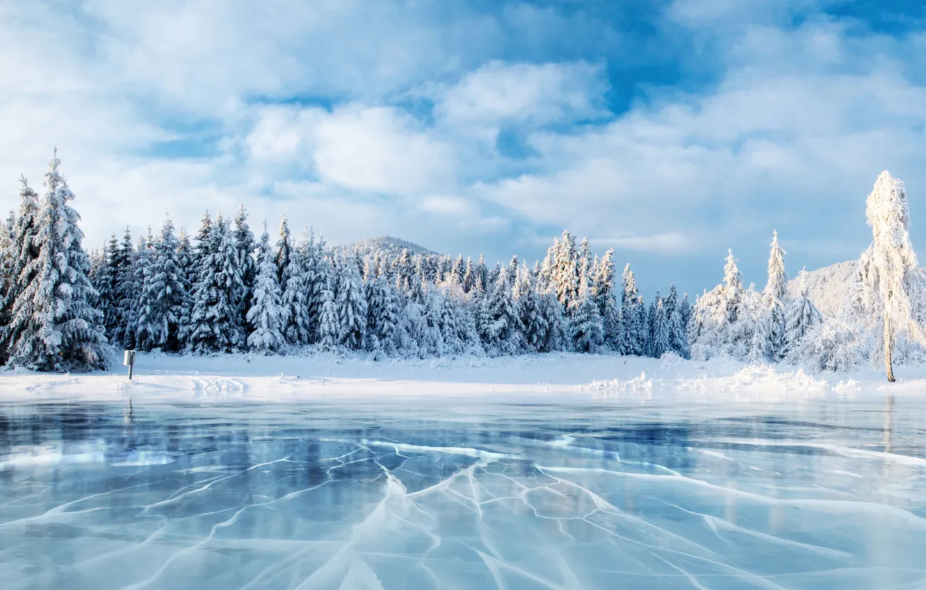 Photo wallpaper ice, winter, forest, the sky, clouds, snow, landscape, nature