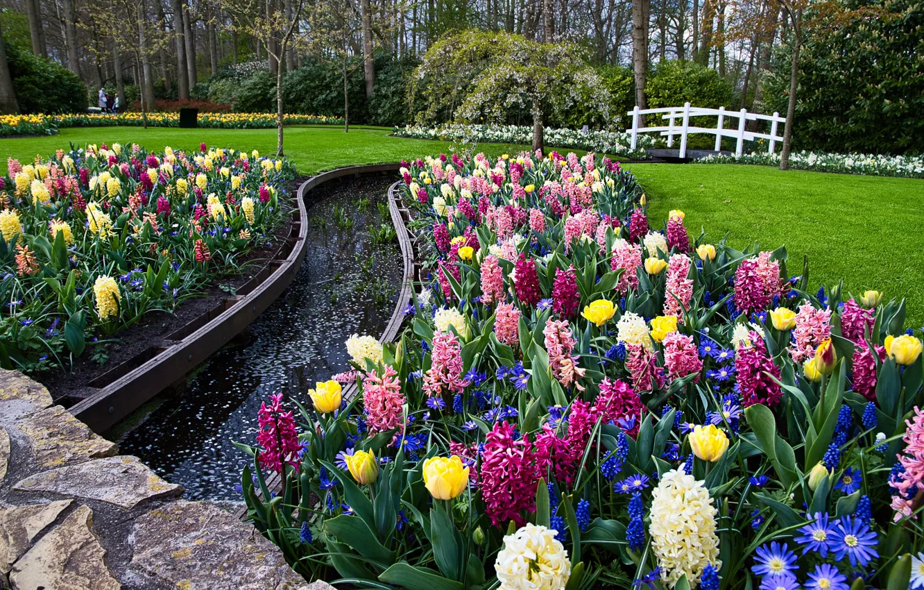 Photo wallpaper water, flowers, Park, spring, garden, channel, flowerbed, hyacinths