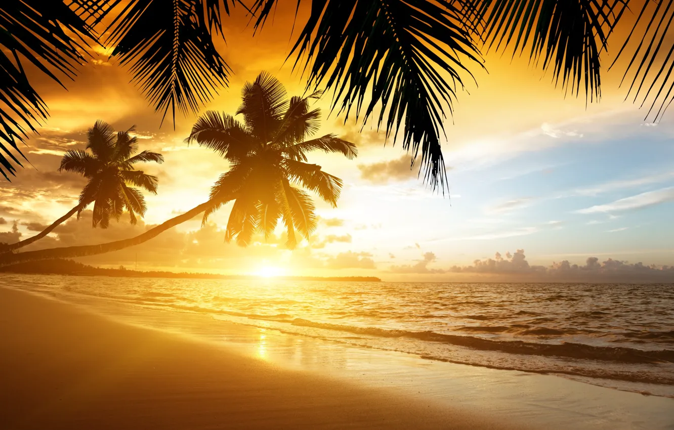 Photo wallpaper beach, sunset, nature, tropics, palm trees