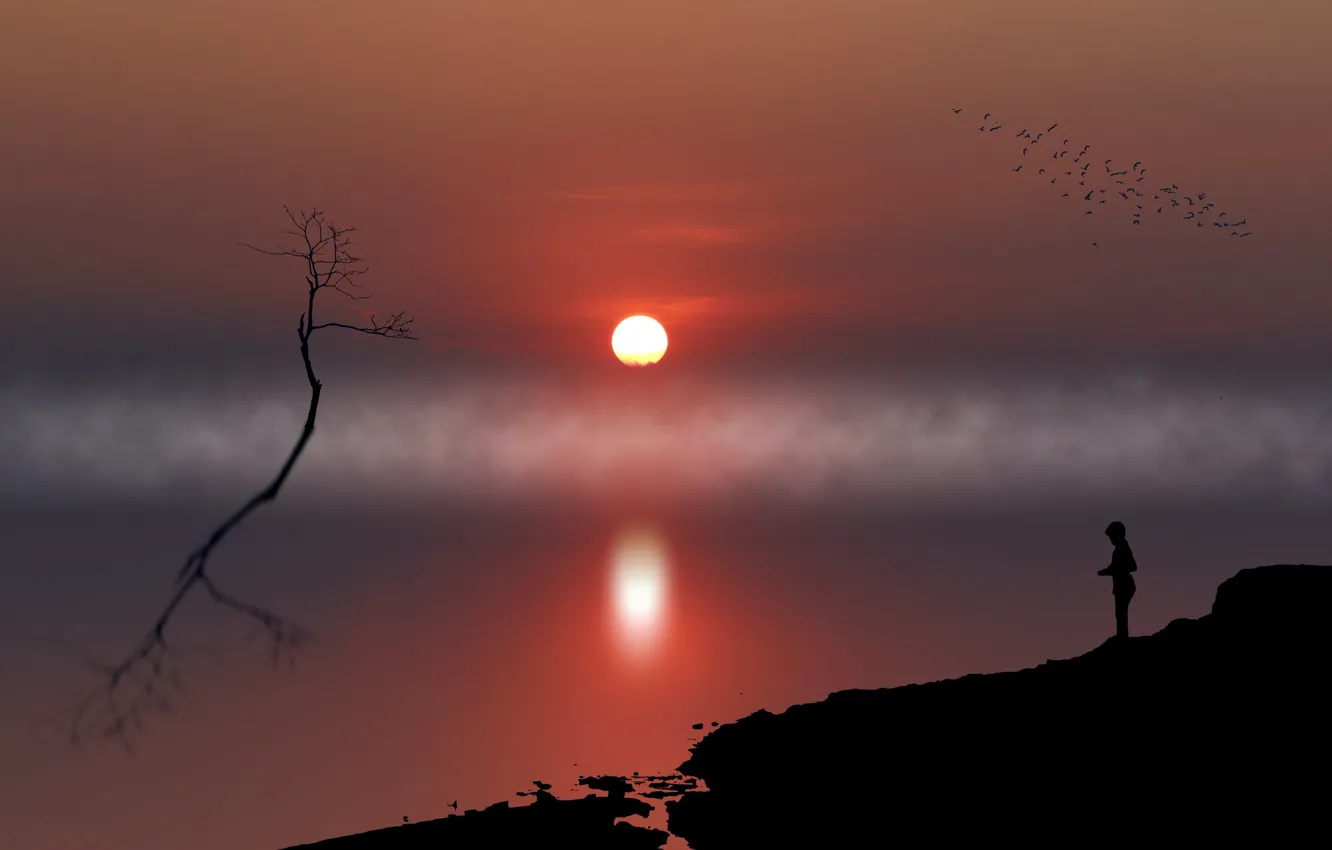 Photo wallpaper sunset, fog, silhouette