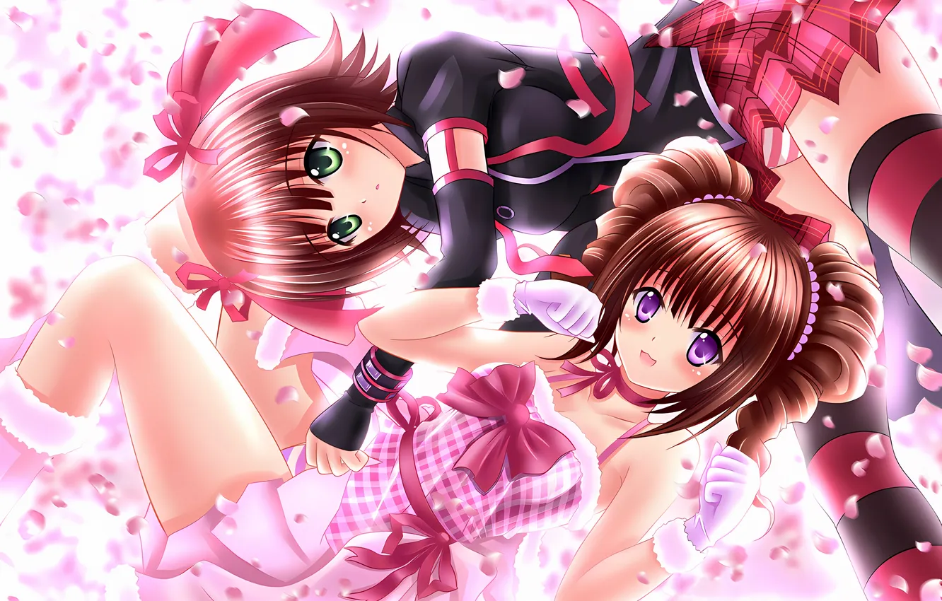 Photo wallpaper sexy, lingerie, school uniform, panties, thighhighs, green eyes, legs, girls