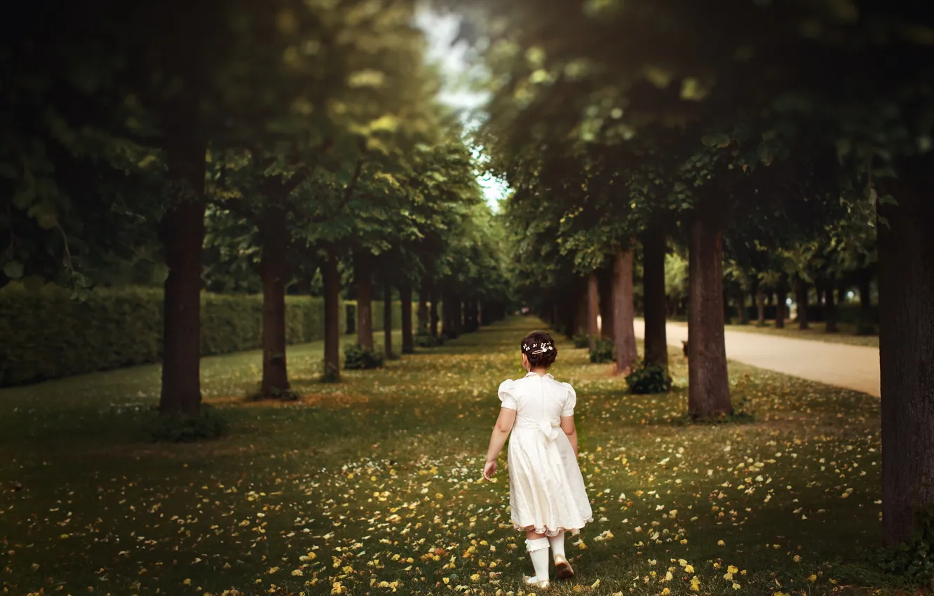 Photo wallpaper the city, mood, girl