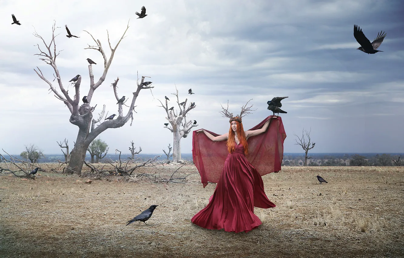 Photo wallpaper field, girl, bird, dress, crows, Tracy Lundgren