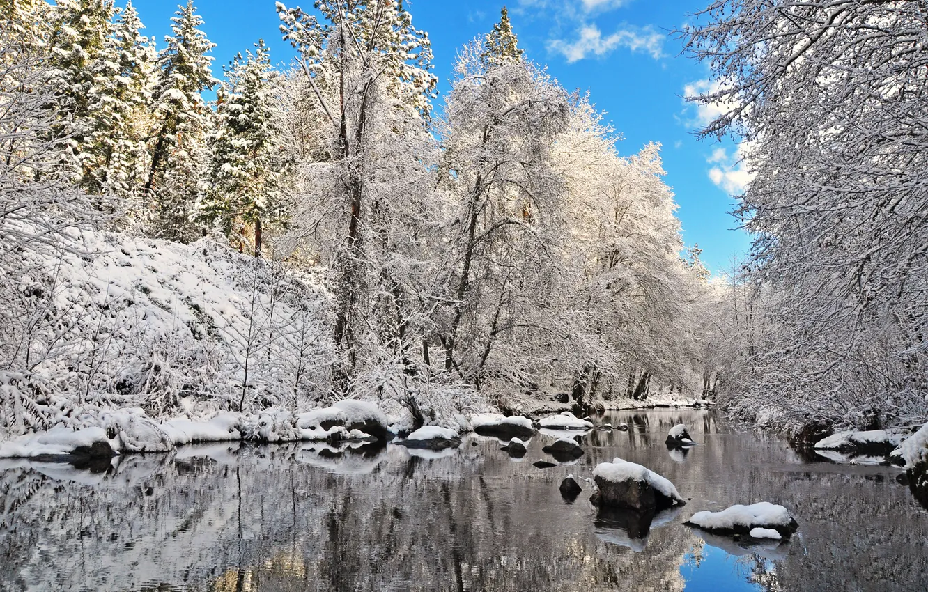 Photo wallpaper winter, forest, the sky, snow, trees, lake, stones, spruce