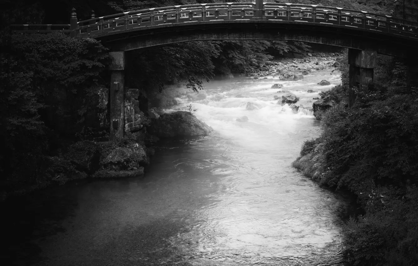 Photo wallpaper river, trees, bridge, stones, black and white pictures