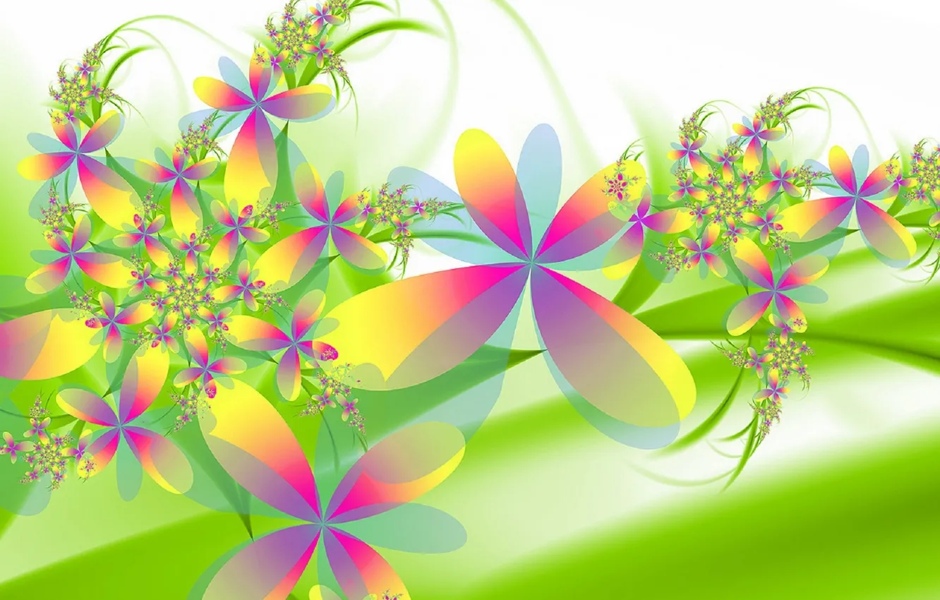 Photo wallpaper flowers, pattern, plant, petals, flowerbed