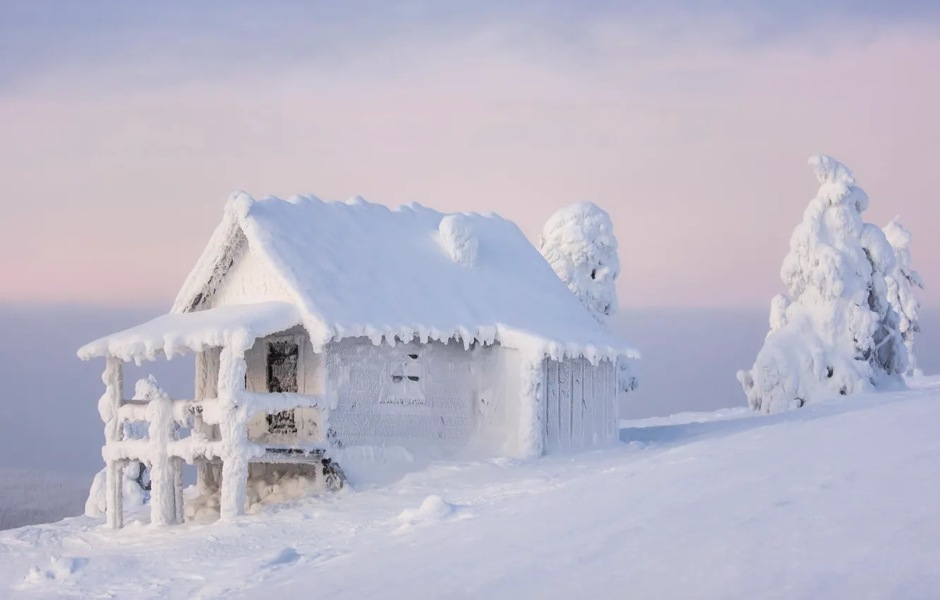 Photo wallpaper winter, Finland, Lapland