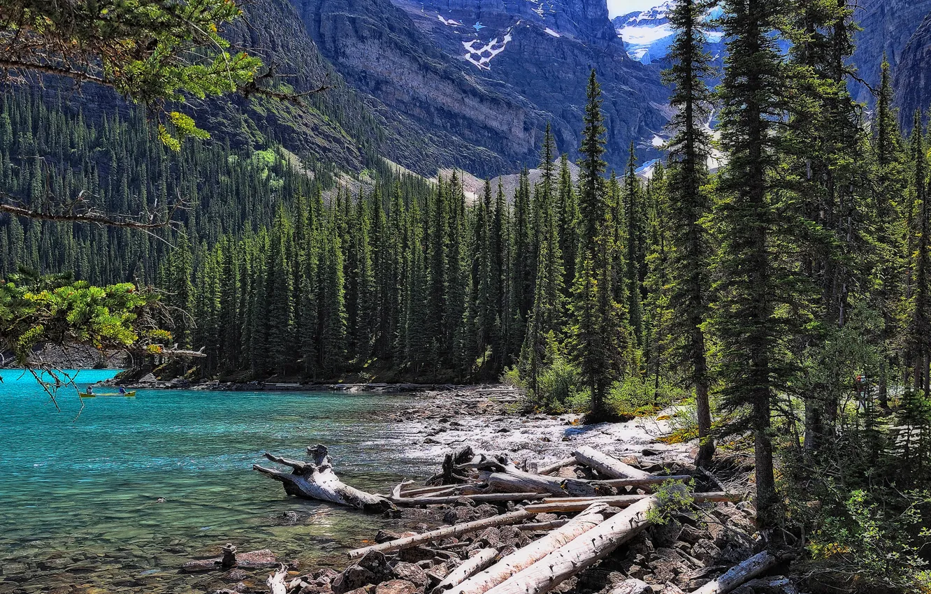 Photo wallpaper forest, trees, mountains, lake