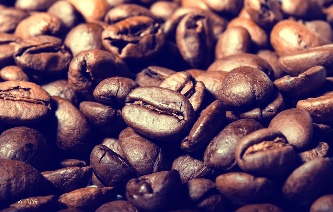 Photo wallpaper macro, coffee, coffee beans