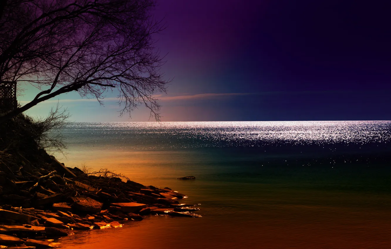 Photo wallpaper sea, night, shore