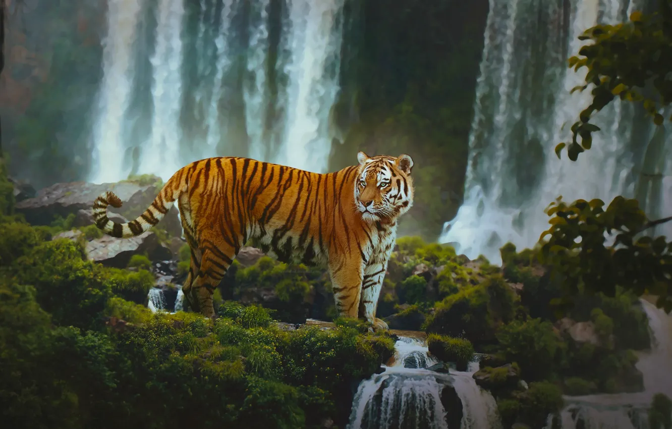 Photo wallpaper forest, tiger, waterfall