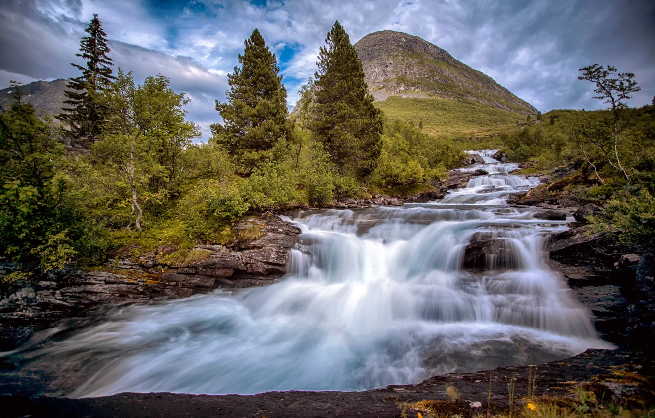 Photo wallpaper trees, mountain, Norway, river, cascade, Norway, Romsdal, Valldalfoss