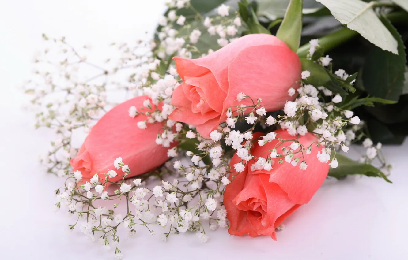 Photo wallpaper roses, bouquet, pink, gypsophila