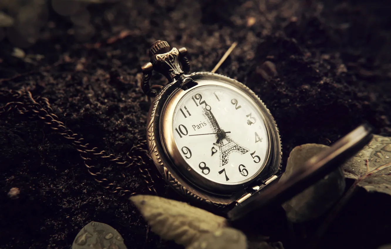 Photo wallpaper leaves, earth, Paris, watch, Eiffel tower, dial, chain, La tour Eiffel