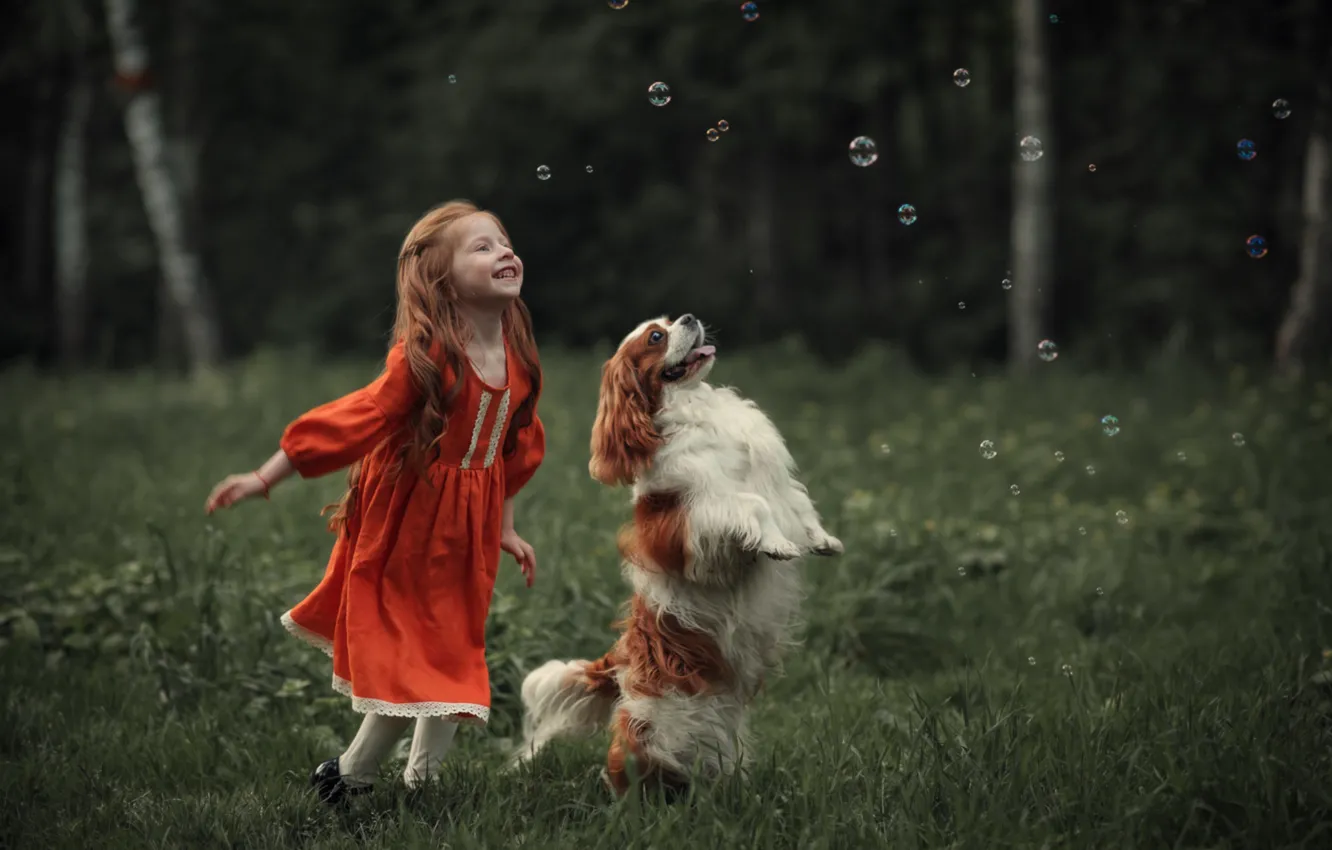 Photo wallpaper bubbles, dog, girl, red, Spaniel