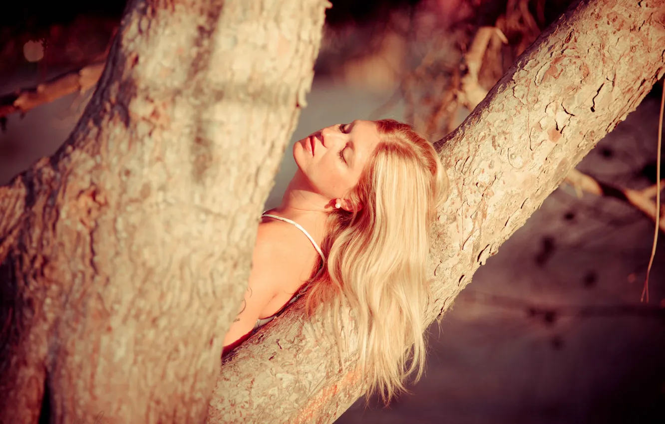 Photo wallpaper girl, tree, mood, hair