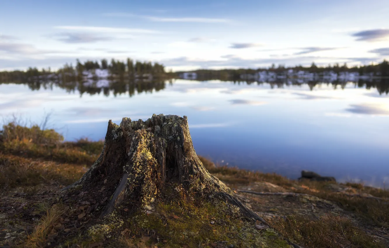 Photo wallpaper the sky, grass, clouds, nature, lake, reflection, shore, stump
