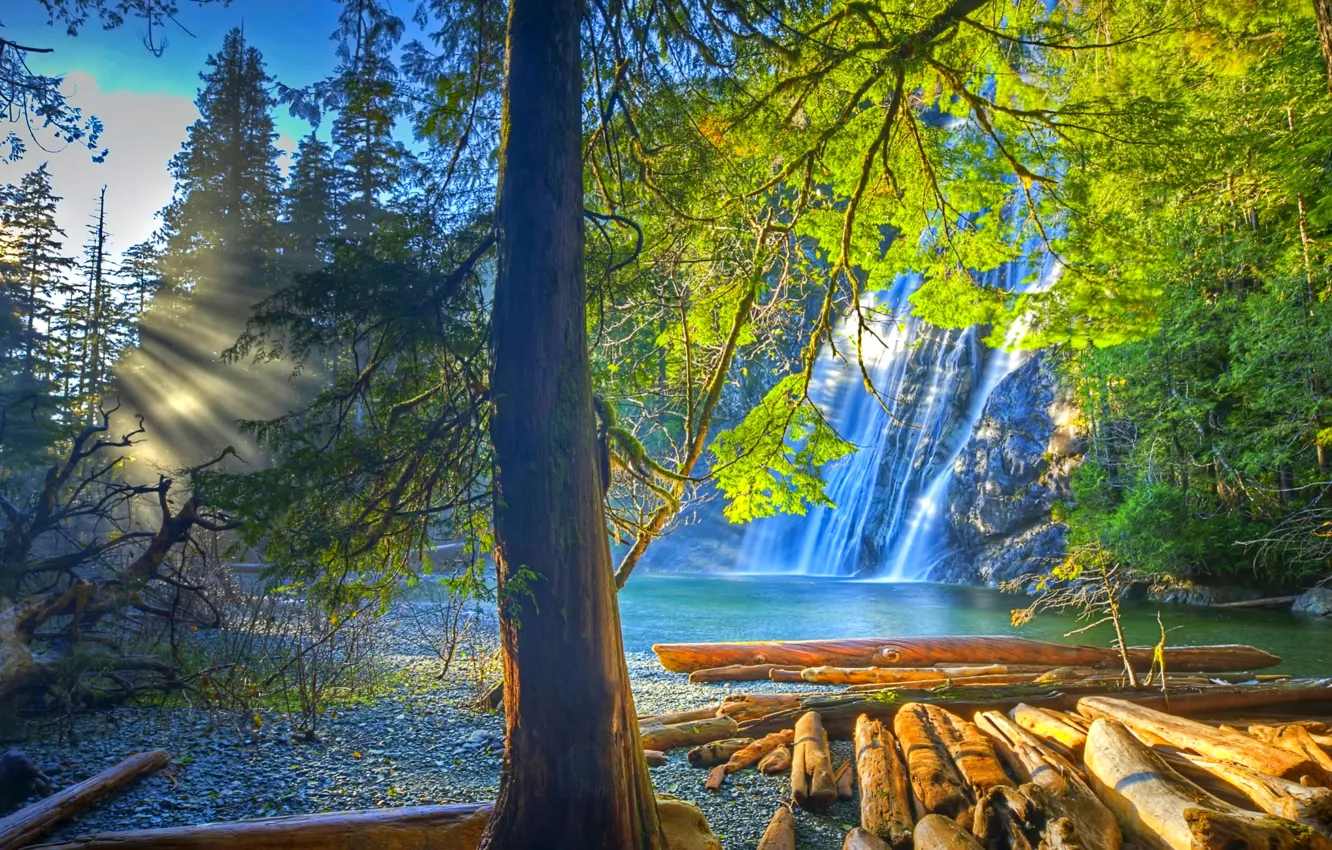 Photo wallpaper forest, trees, rock, waterfall, logs, USA, the rays of the sun, Tennessee