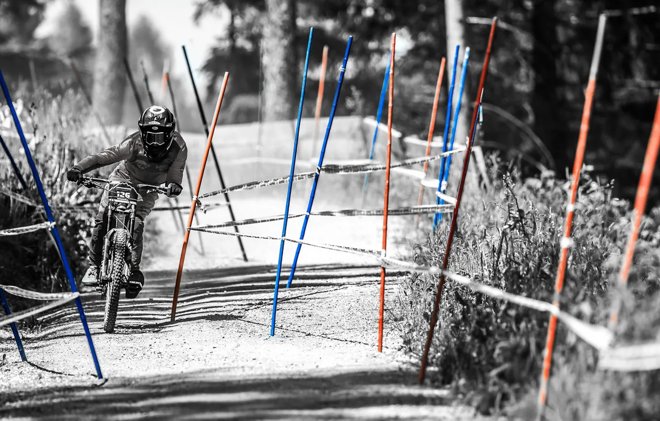 Photo wallpaper bike, race, sport