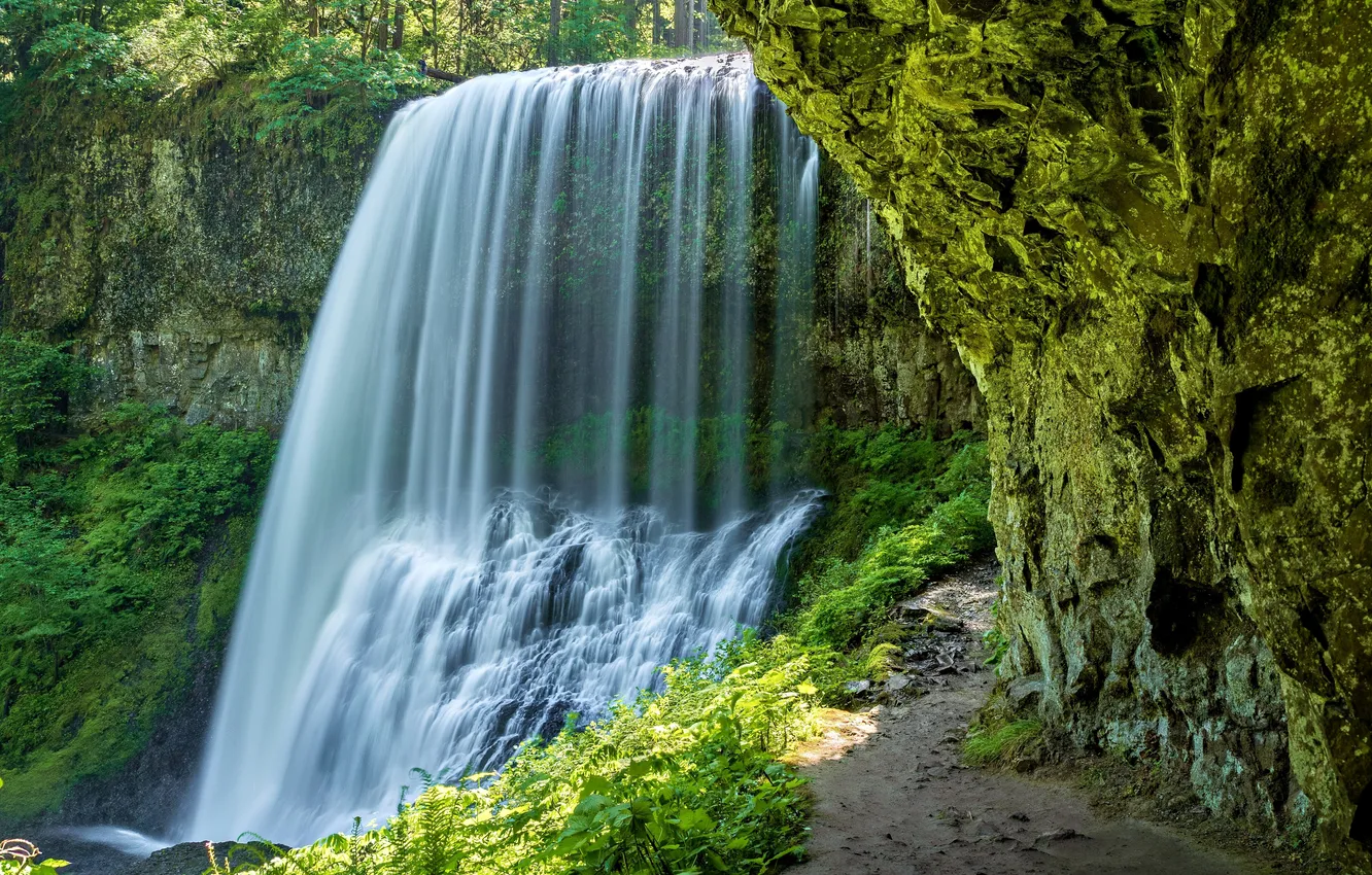 Photo wallpaper Oregon, waterfall, Wilderness, nature photography, Pacific Northwest