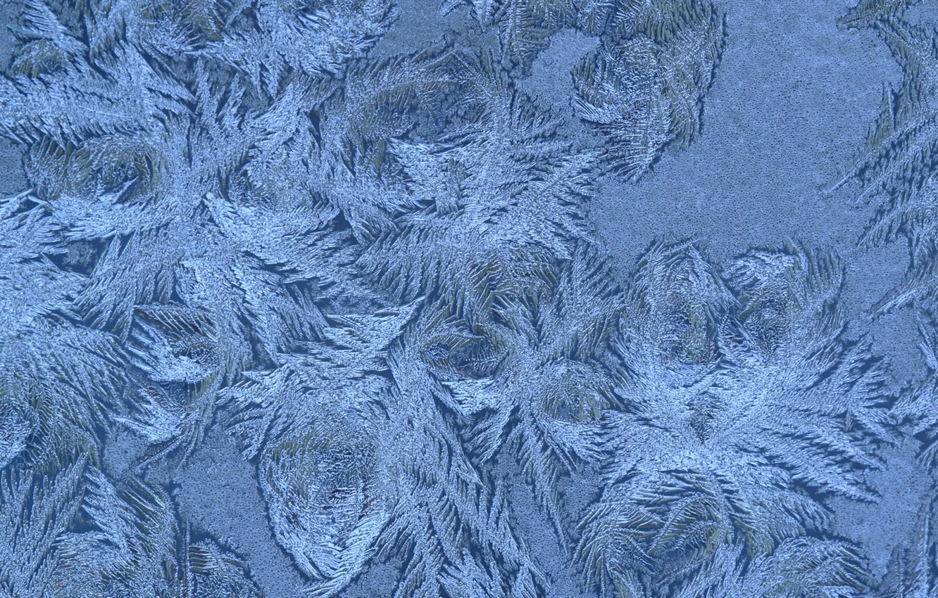 Photo wallpaper winter, snowflakes, pattern