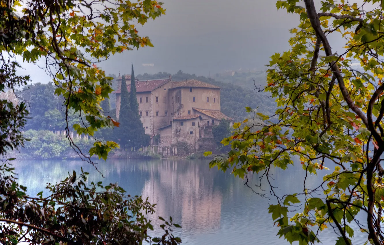 Photo wallpaper forest, fog, lake, hills, branch, home