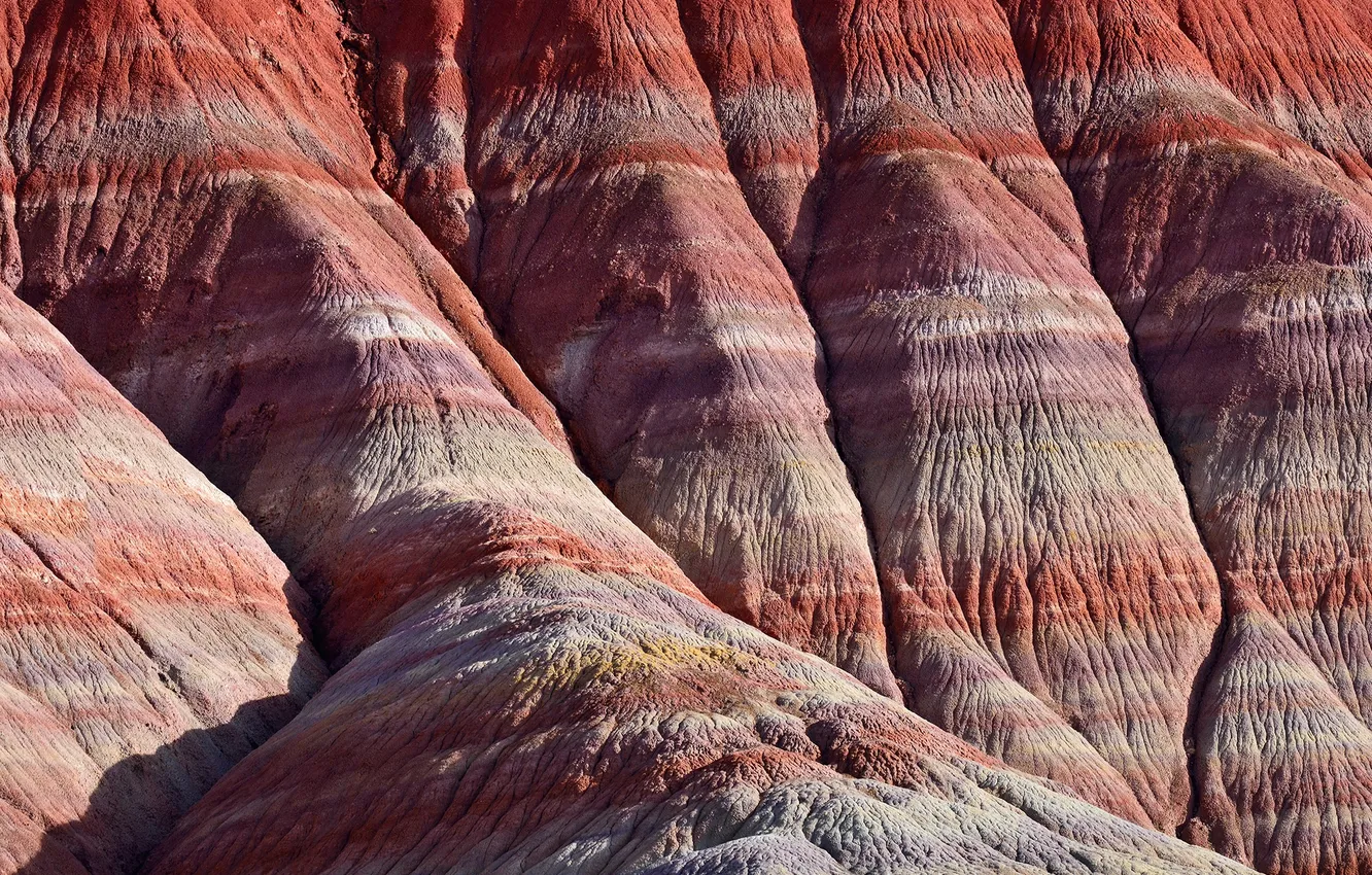 Photo wallpaper hills, Colorado, Utah, USA, plateau, state, Chinle, formation