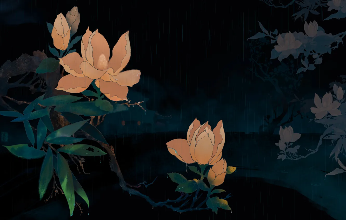 Photo wallpaper trees, night, rain