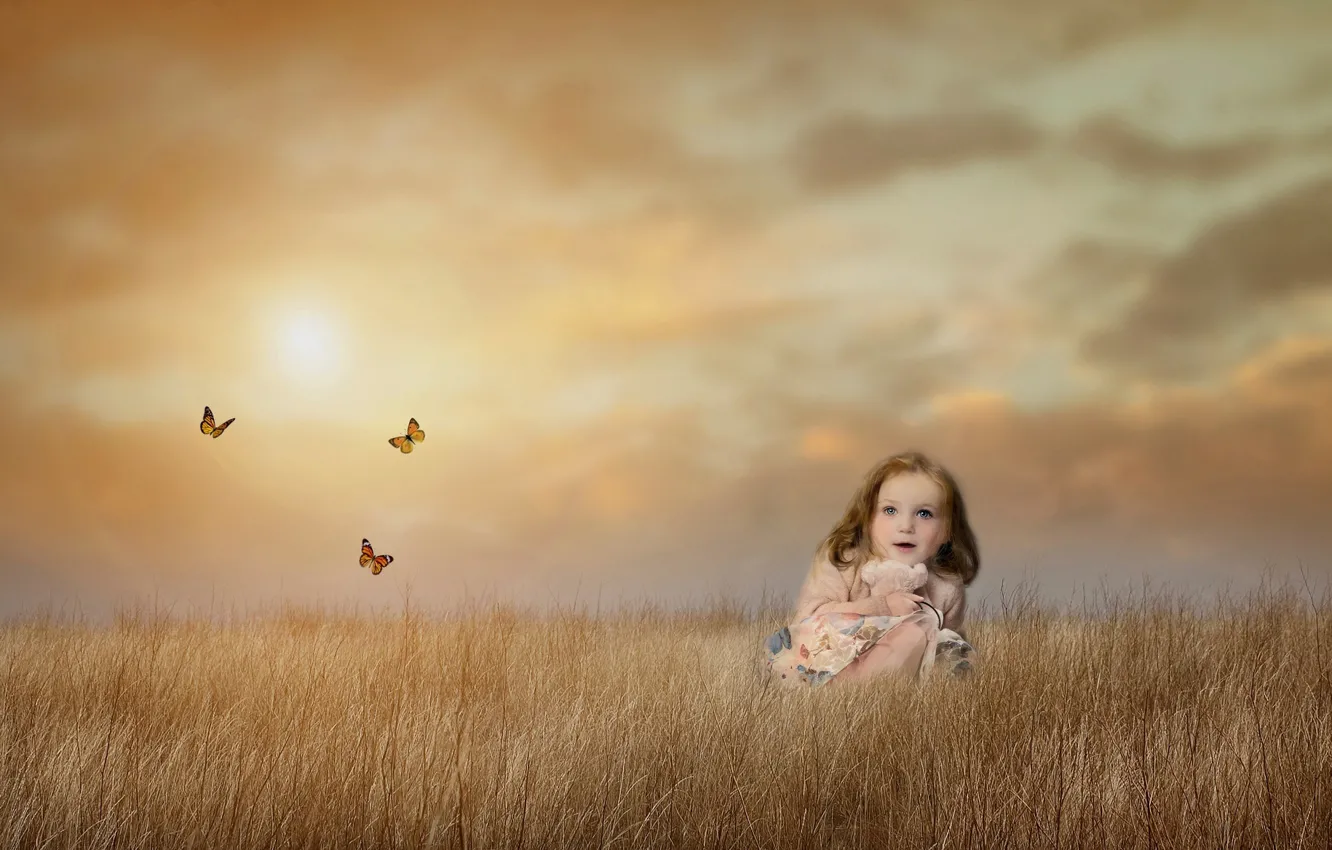 Photo wallpaper field, the sky, butterfly, mood, meadow, girl