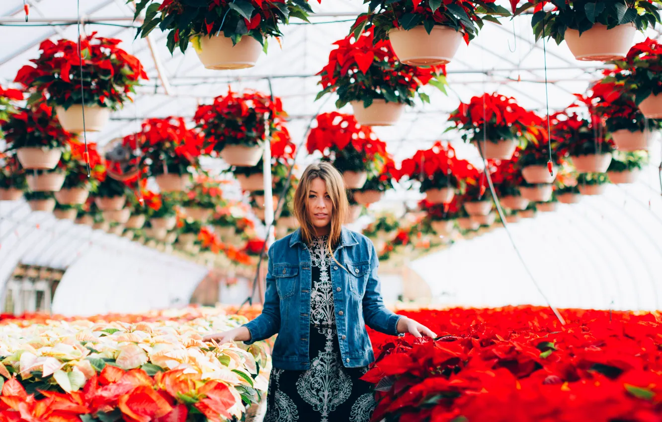 Photo wallpaper girl, plant, red petals