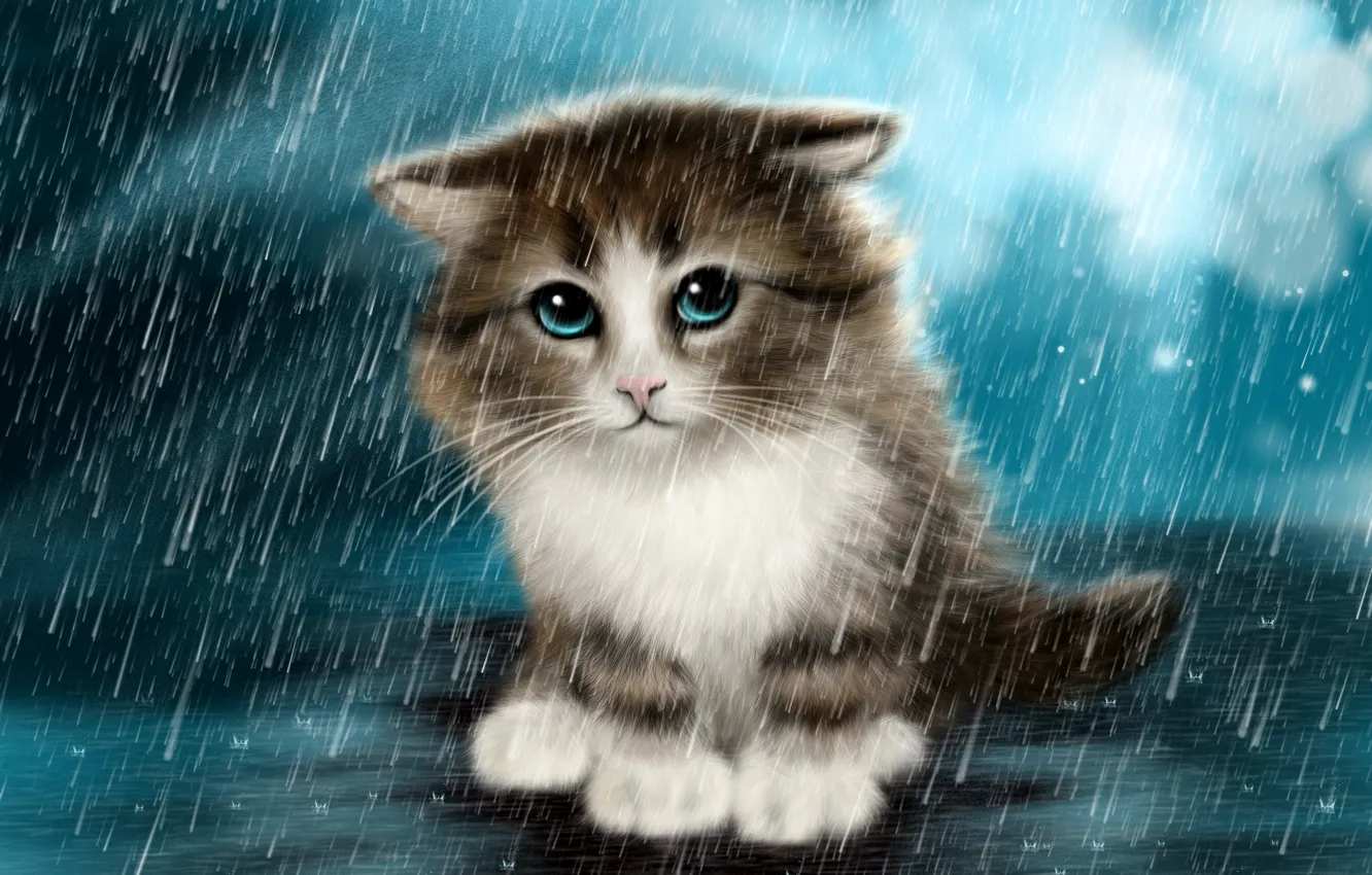 Photo wallpaper sadness, kitty, rain